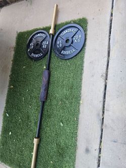 Olympic Barbell with Two 45 lb Weight Plates