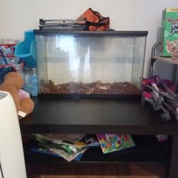 Reptile Tank