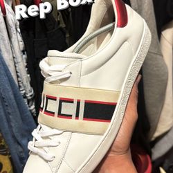 Gucci Ace 