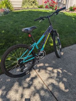 Nishiki Pueblo 24in youth bike