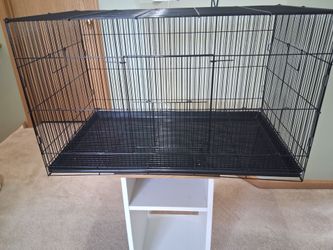 Bird cage