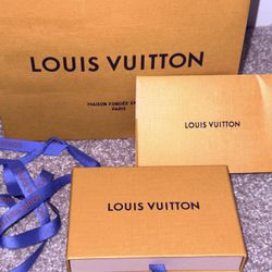 Louis Vuitton Pocket Organizer 