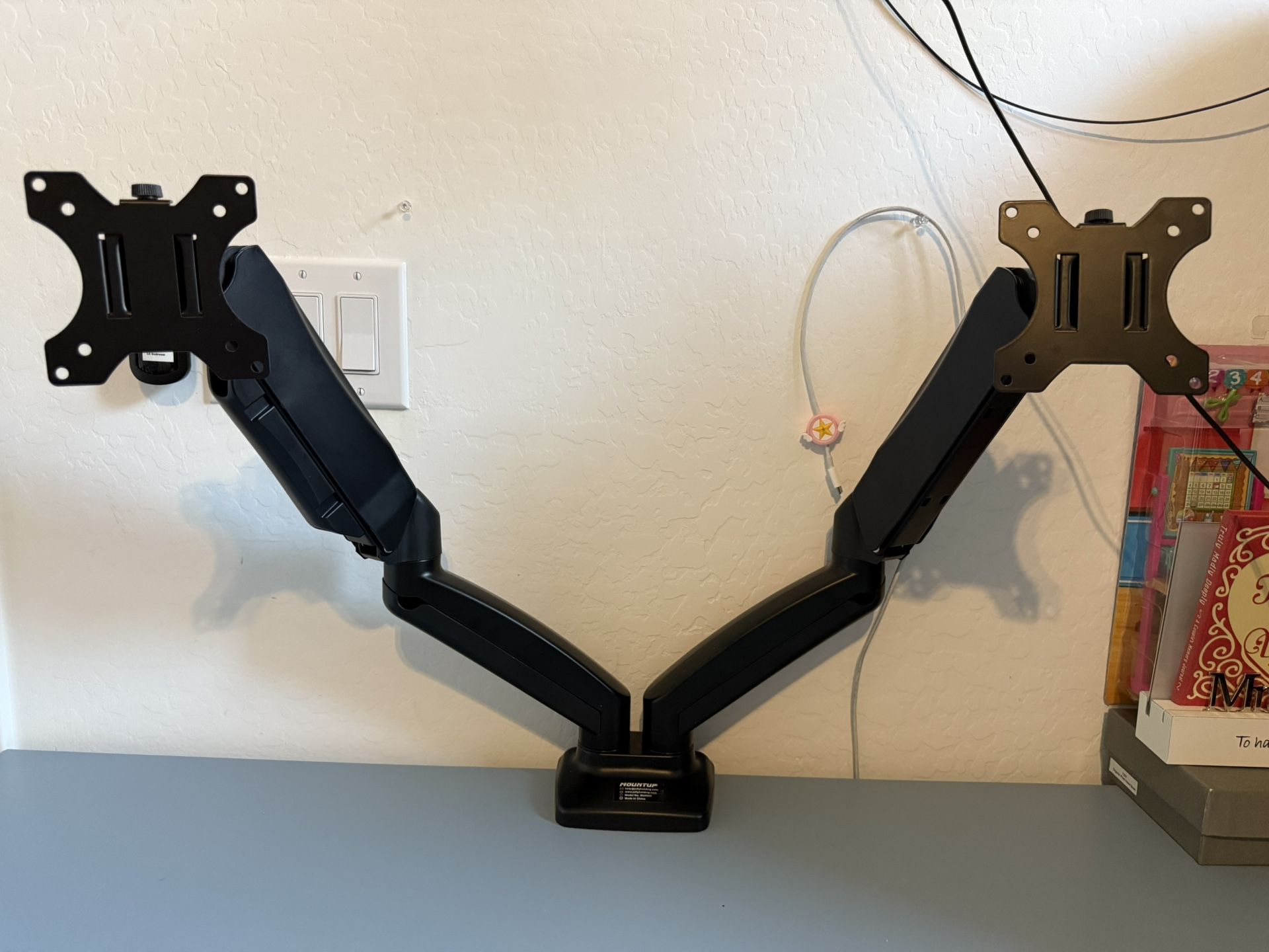 Computer Dual Mount