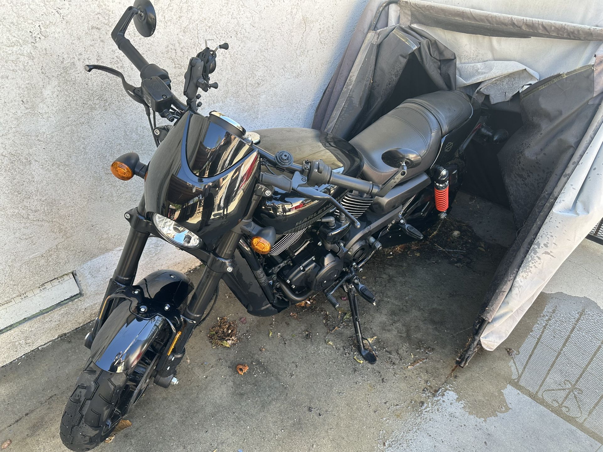 2017 Harely Davidson Street Rod