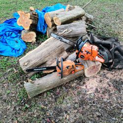 Fallen Tree Limbs & Trees