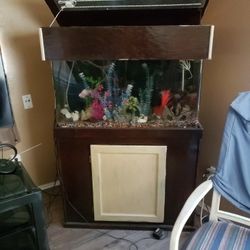 Fish Tank  