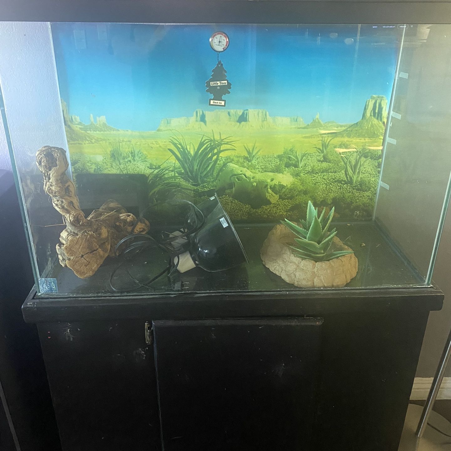 100 Gallon Reptile Enclosure informacionpublica.svet.gob.gt