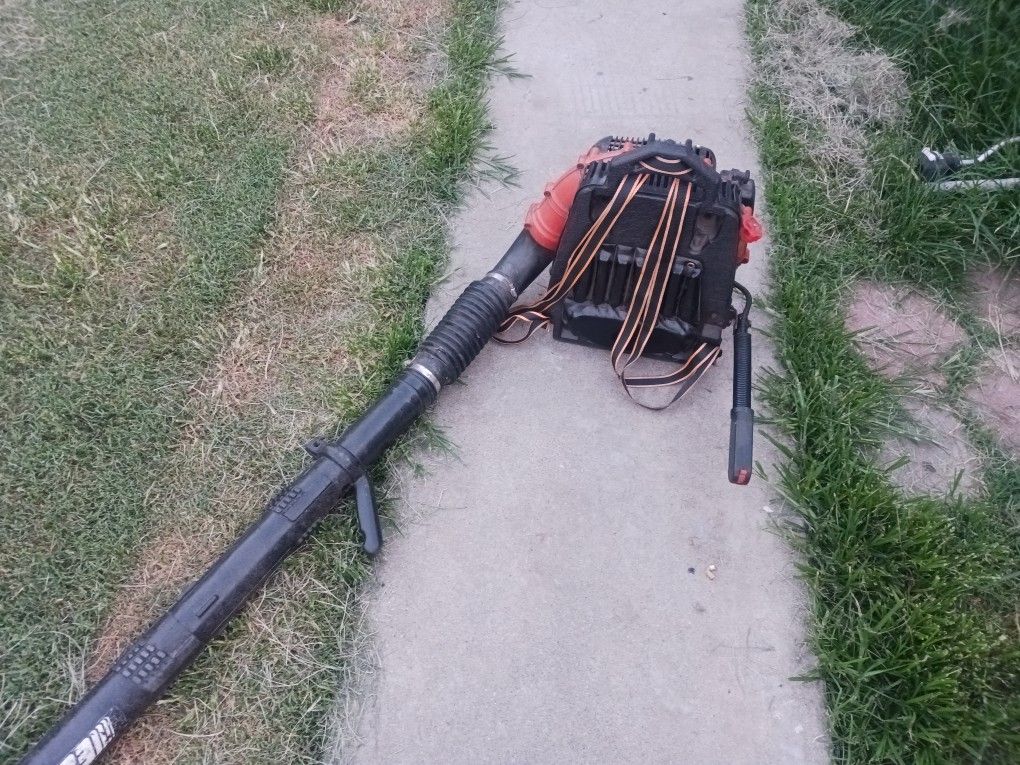 Echo Leaf Blower