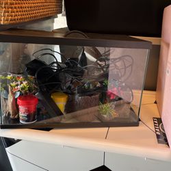 Fish Tank With Beta Things