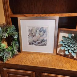 Succulents Decorations