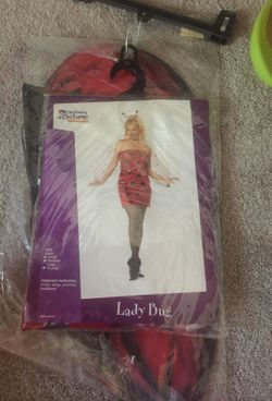 Lady bug