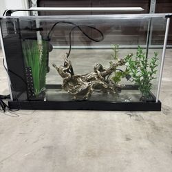 Fluval Spec 5 Gallon Fish Tank 