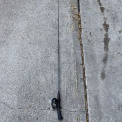 Fishing’s rod and reel