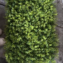 Artificial Grass Wall Drop