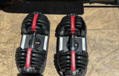 Bowflex Adjustable Dumbbells and Flybird Adjustable Bench