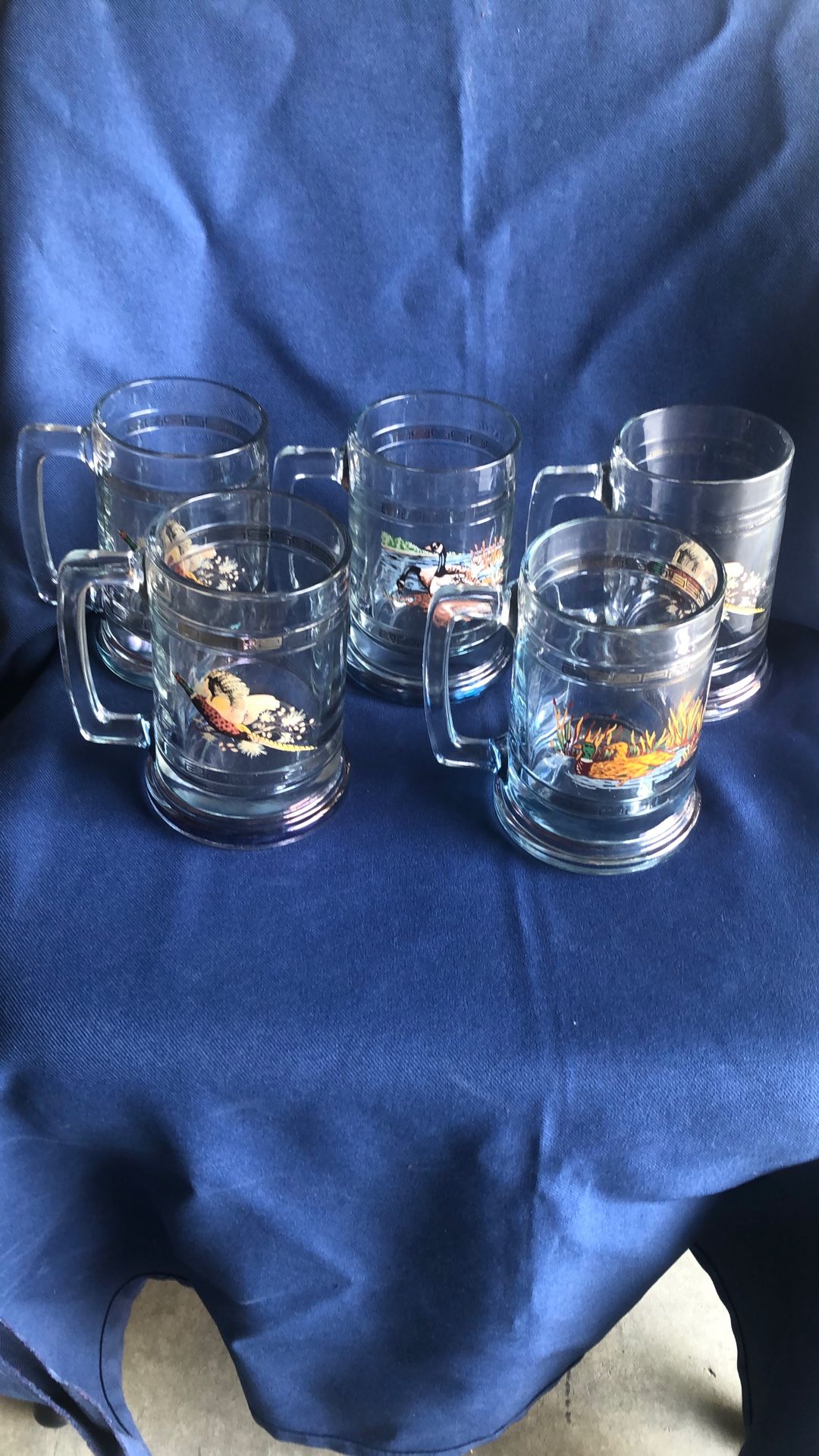 Princess House Beer 🍺 Mugs