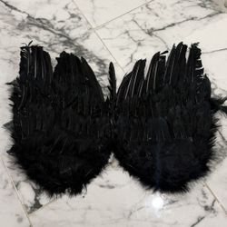 Halloween Black Wings 