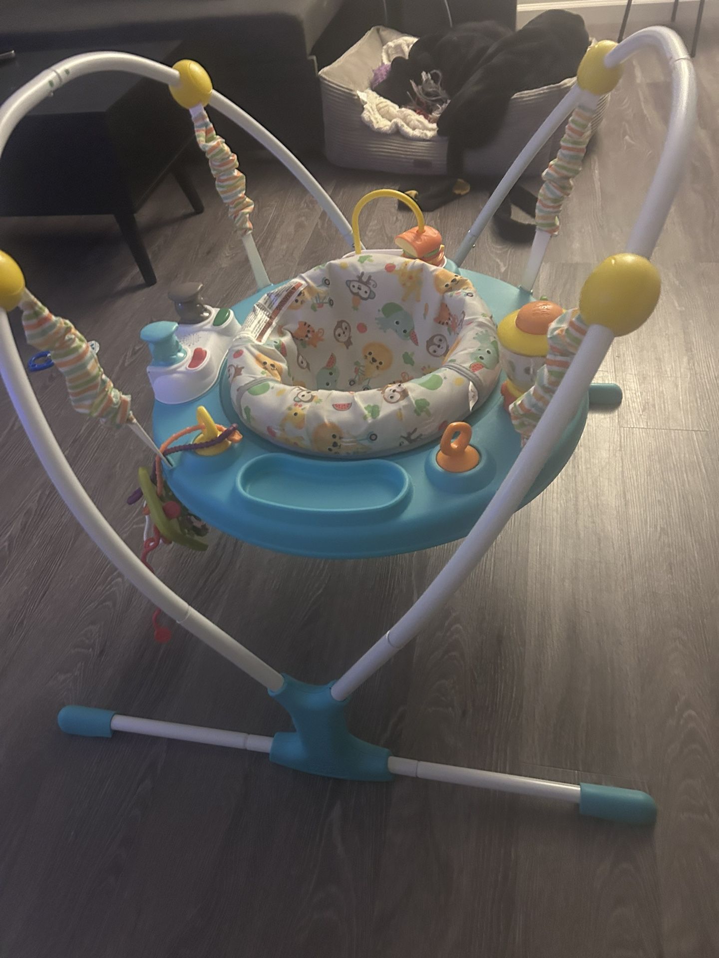 Baby Bouncer
