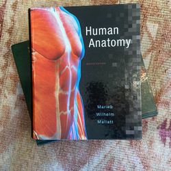 Human Anatomy Textbook (Marieb Wilhelmina Mallatt)