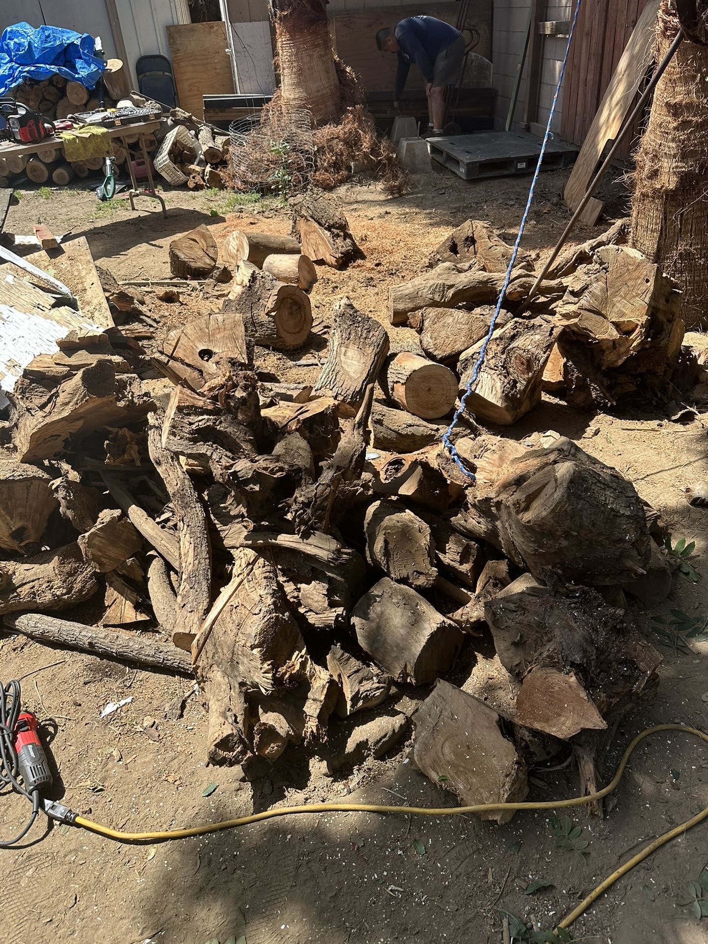 FREE WOOD TREE TRUNK