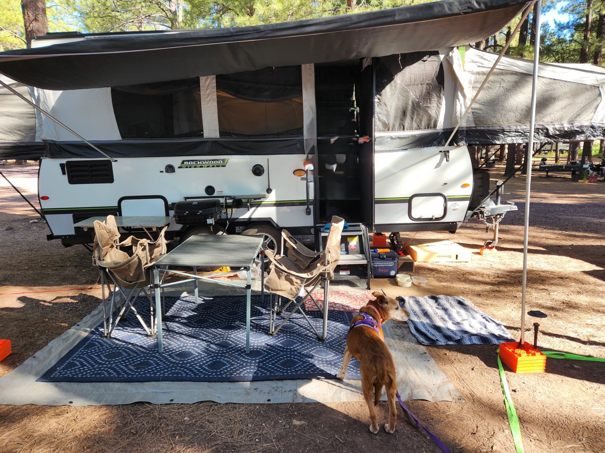2020 Forest River Rockwood (High Wall pop-up) HW296 – $18,000