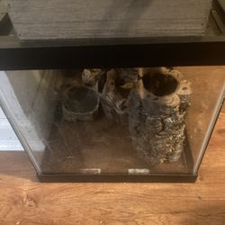 Reptile Enclosure 
