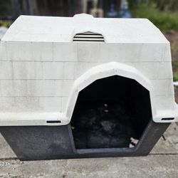 Dog House 