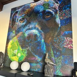 48” Colorful Dog Print Decorative Contemporary Canvas