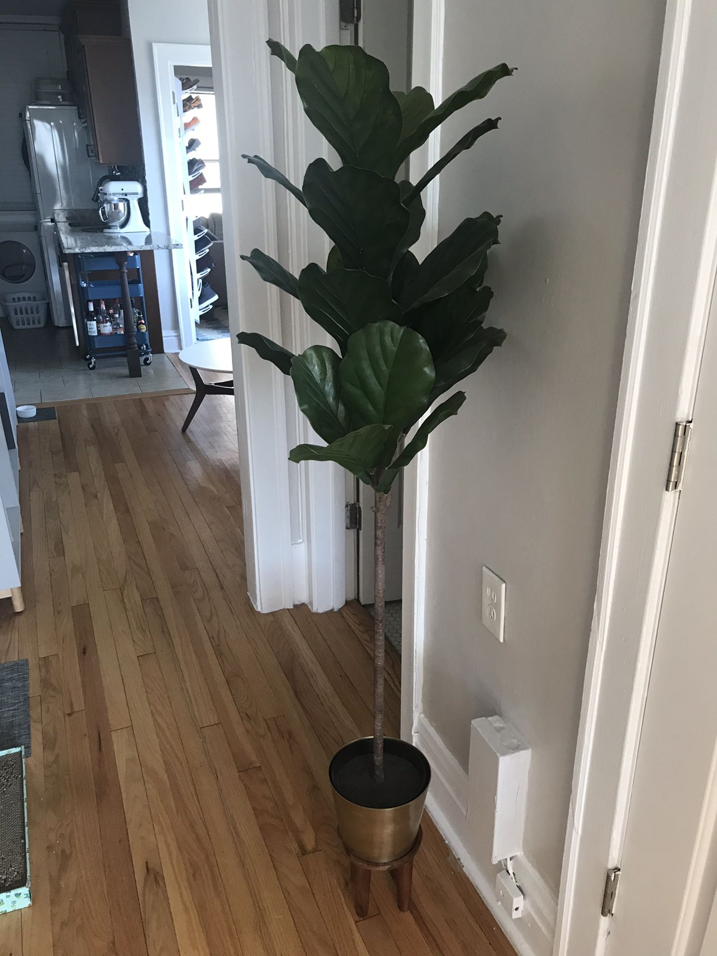 IKEA Artificial Fiddle Leaf Fig Tree