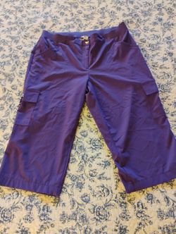 Chicos Purple Pants