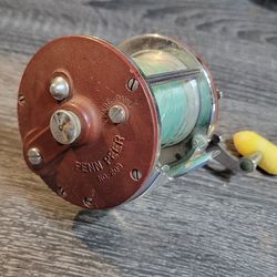 Saltwater Penn Reels - 12 Available