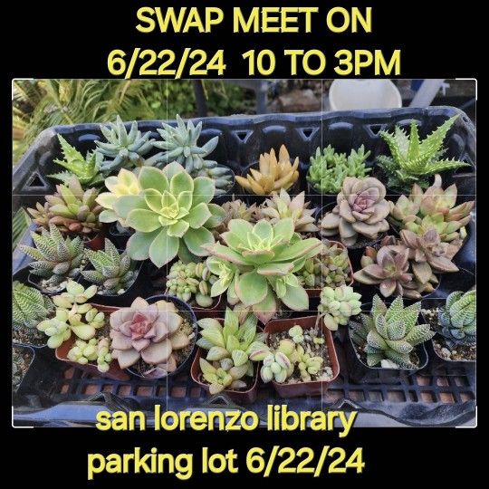 SWAP MEET ON SATURDAY JUNE 22ND FROM 10AM TO 3PM SAN LORENZO LIBRARY PARKING LOT ☆☆