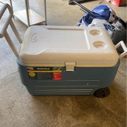 Igloo Cooler