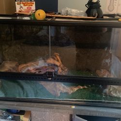 reptile cage