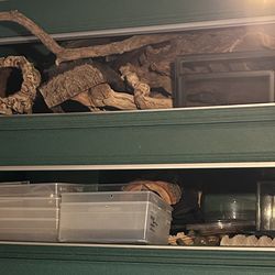 Vision style cages great condition