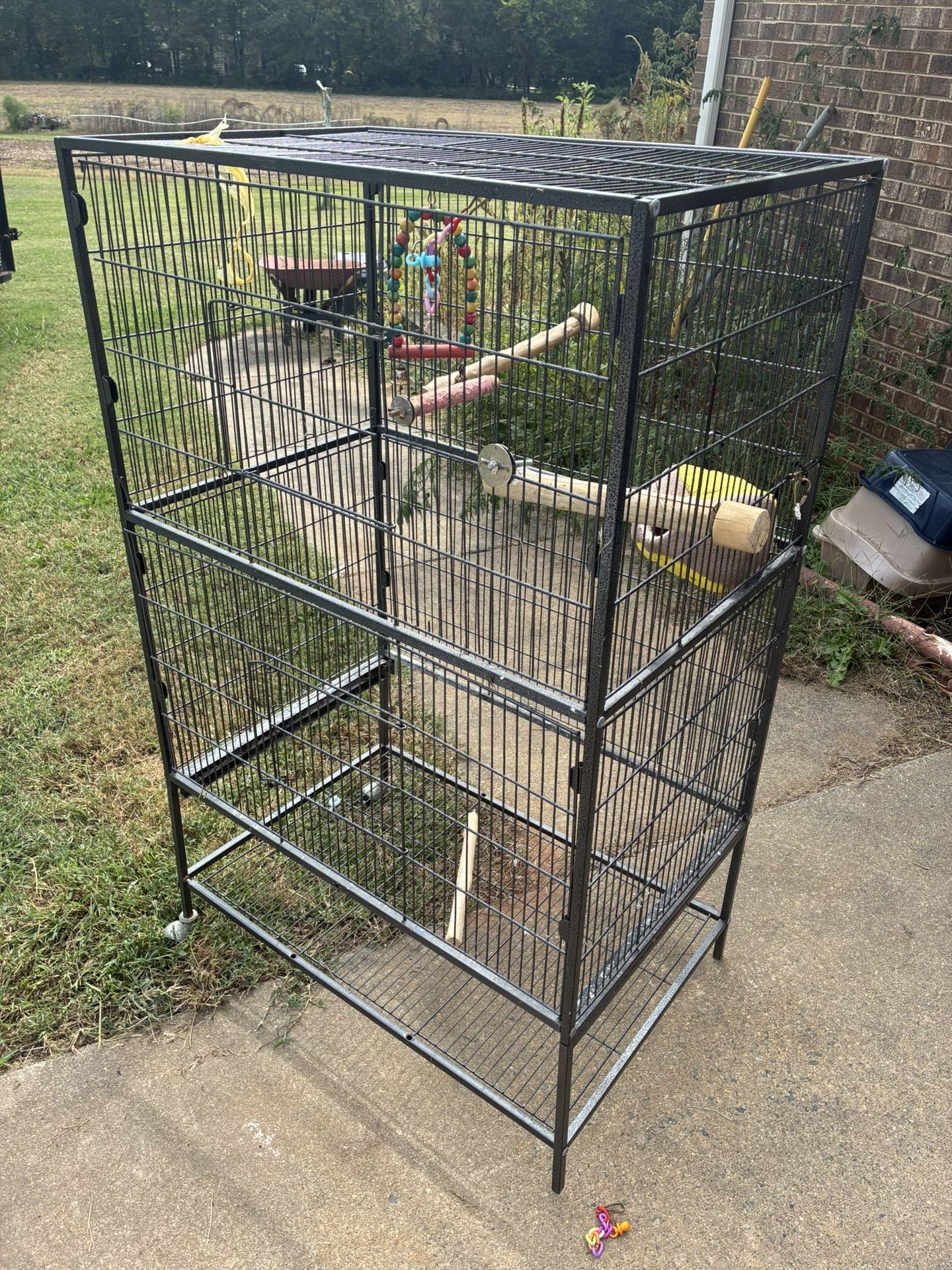 Bird Cage