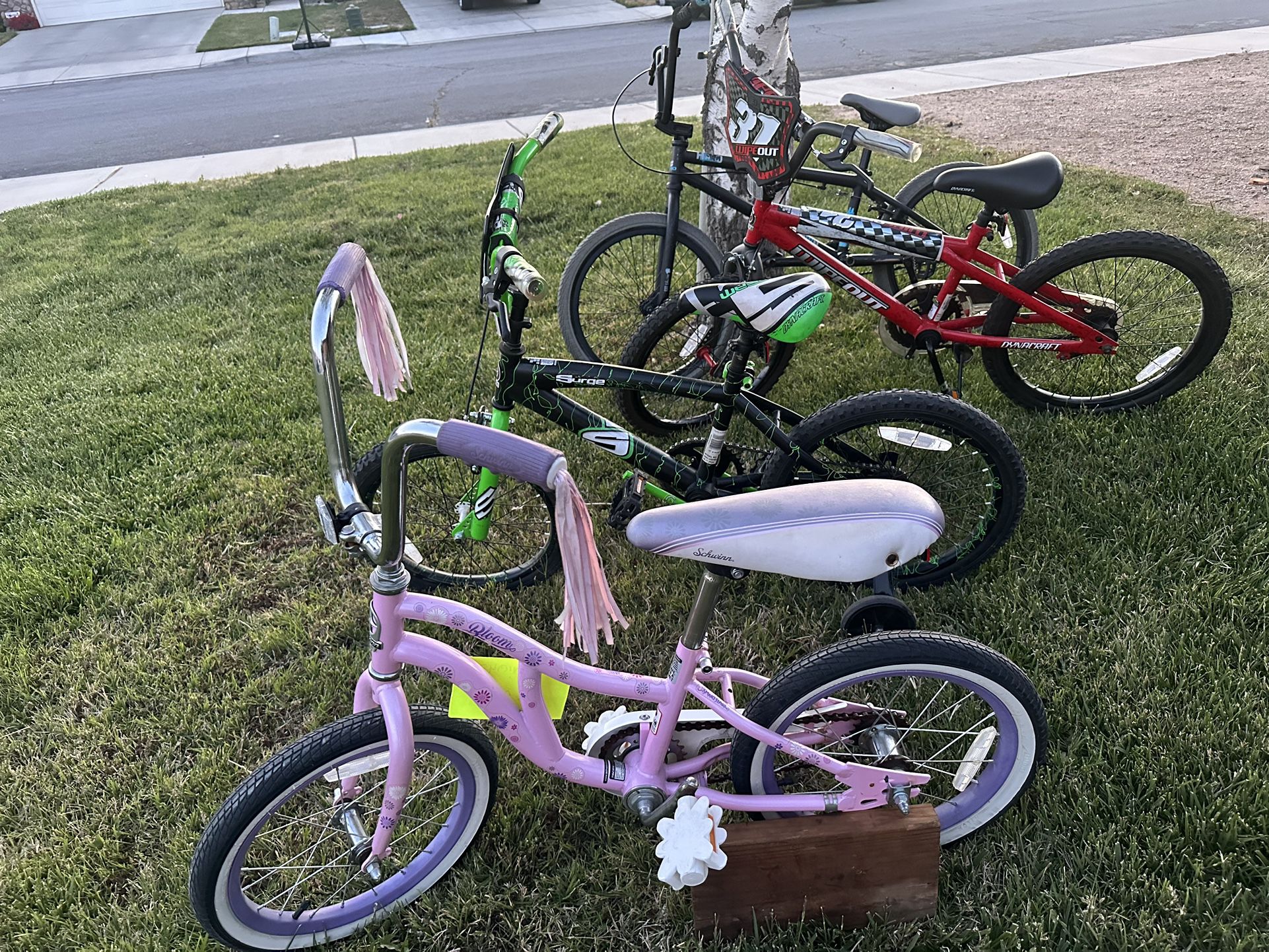 Girl , Kids, and boys , Bikes 