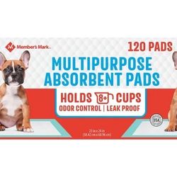 Puppy Pads And Bed