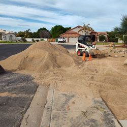 Skid Steer Skid Steer 