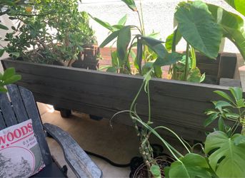 Raised Garden Bed Made Of Redwood  72” L x 24” W x 36”H
