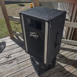 Peavey 300 Watt Speaker Price Drop $35