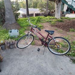 Pacific Scorpio C5 24 Inch Bicycle 