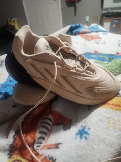 Adidas ozelia/