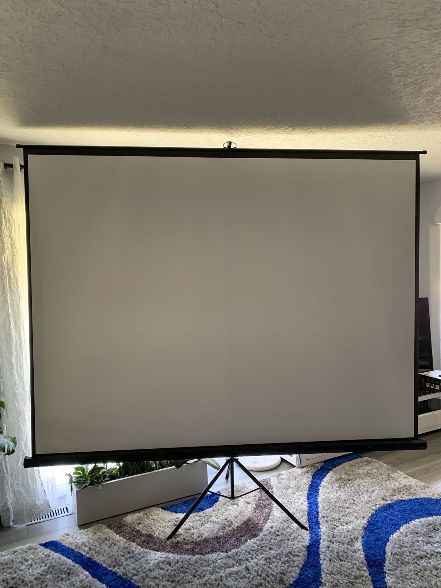 TaoTronics 120 inch 4K Projector Screen With Stand TT-HP020