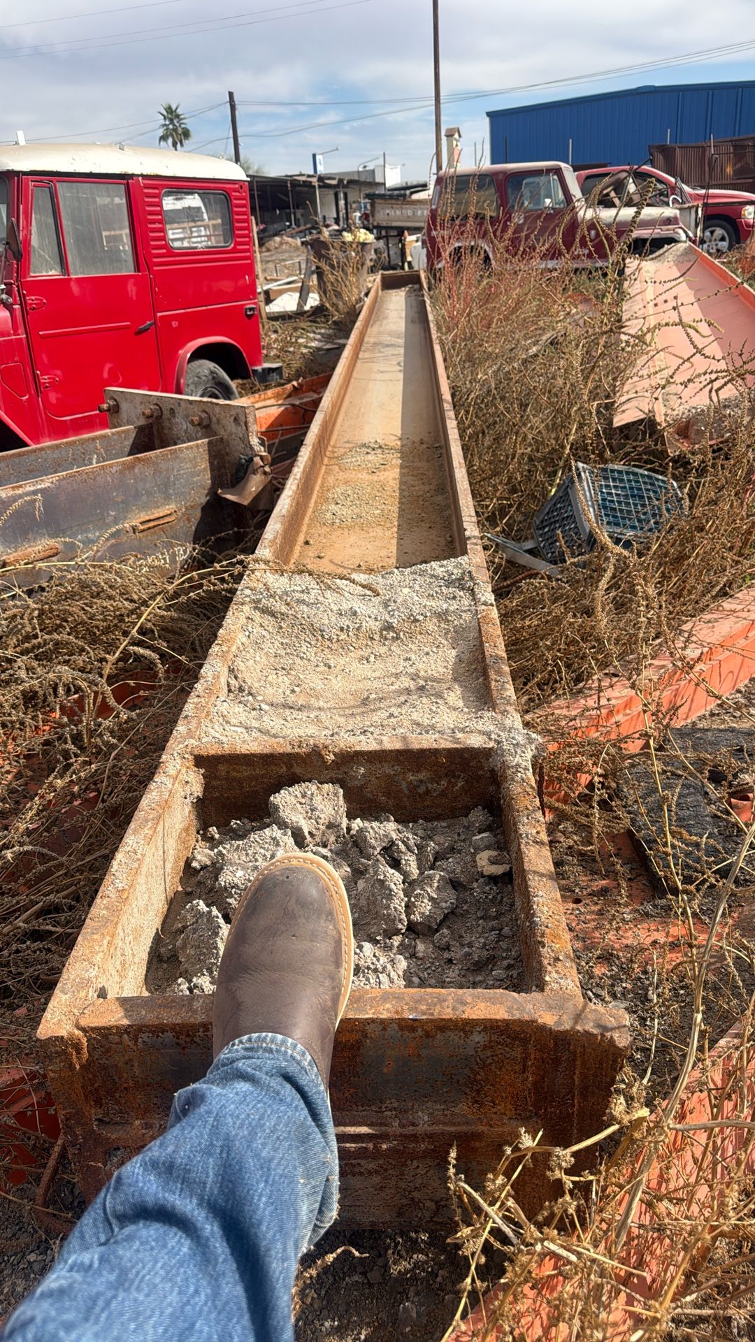 Steele Eye Beans Different Sizes