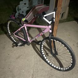 pink Chad 29er 