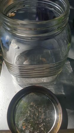 ANTIQUE SUGAR JAR