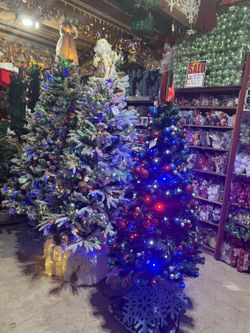 Holiday Christmas Tree Lot Different Type And Size And Price 