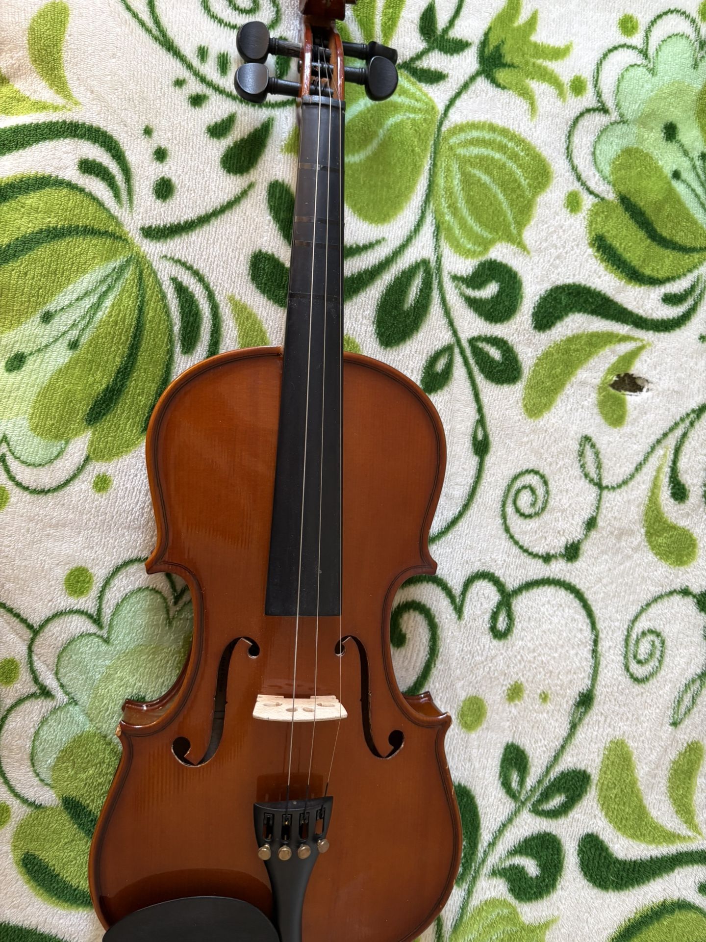 Violin