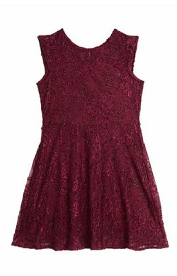 Shimmer Lace Skater Dress
